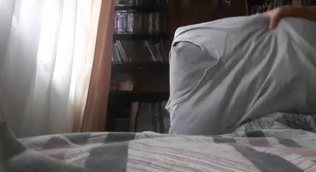 [proof] Pillow