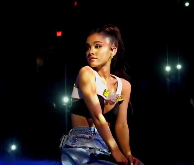 Stunning Beauty - DWT Phoenix - 2017