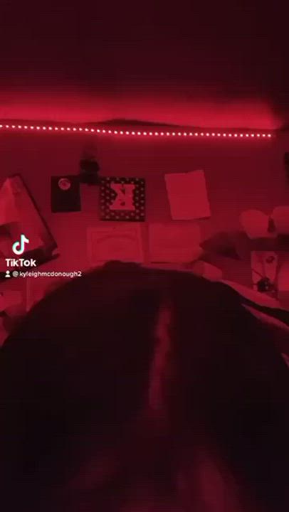 Doggystyle Pussy TikTok gif