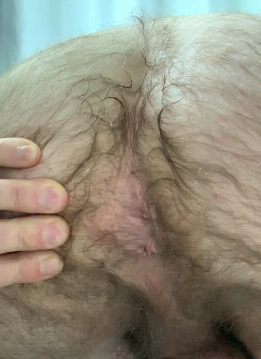 Hairy Hairy Ass Hairy Cock gif