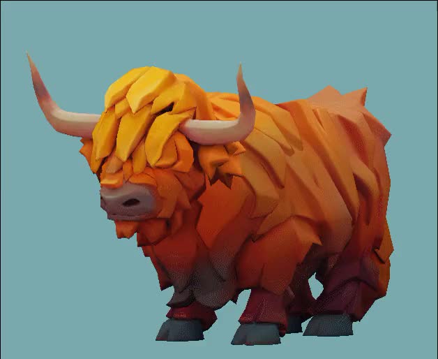 Highland cow