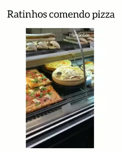 ratinho-comendo-pizza