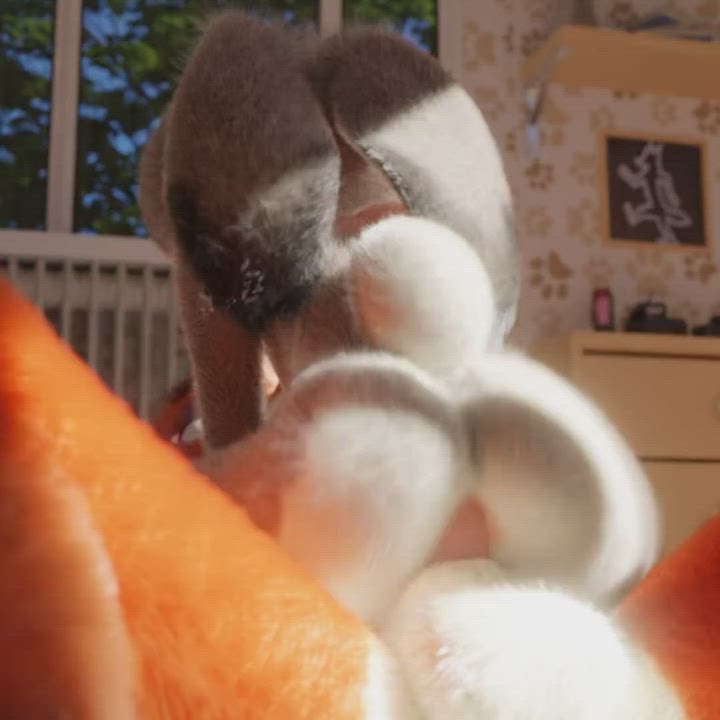 Anal Animation Bunny Deep Penetration Riding gif