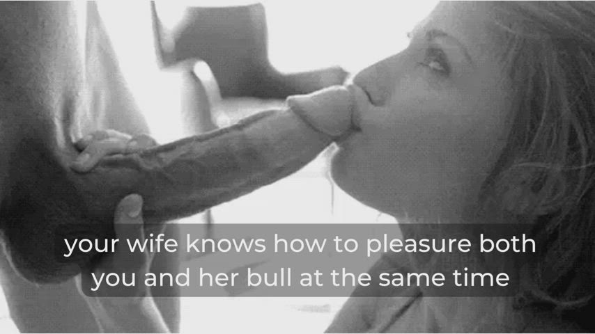 bwc bull caption cheating cock worship cuckold hotwife stag vixen gif