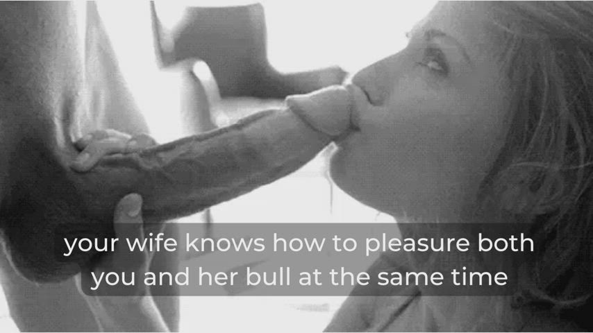 bwc bull caption cheating cock worship cuckold hotwife stag vixen gif