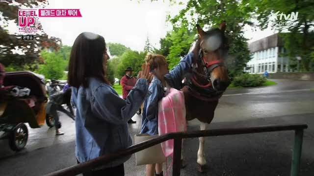 Level Up Project Season 3 - Joy 7 Patting the Horse