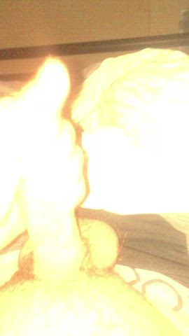 Cock Cum Facial Masturbating Pornhub Porn GIF by kai1006