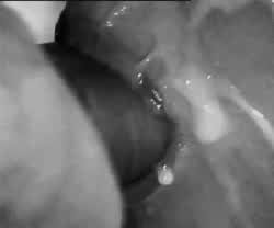 Cum Licking Cumshot Smile gif