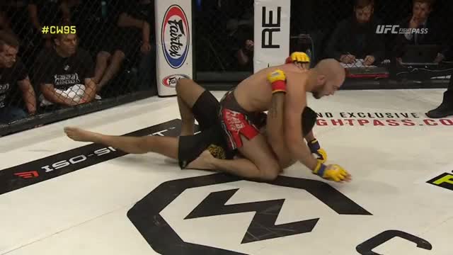 Mehrdad Janzemini gets Ko'd by the winner and new welterweight champ Stefano Paterno.
