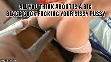 bbc sissy trans gif