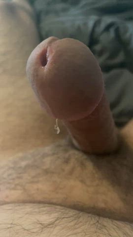 bwc big dick cum precum pubic hair gif