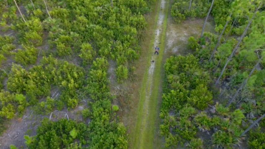 In A Florida Hiking Trail