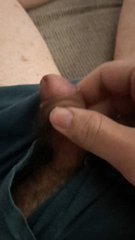 cut cock erection hairy cock jerk off male masturbation small cock gif