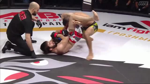 Rasul Shovhalov with the classic triangle to armbar transition