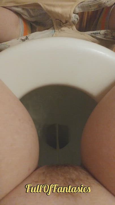 Female POV Pee Peeing Toilet gif