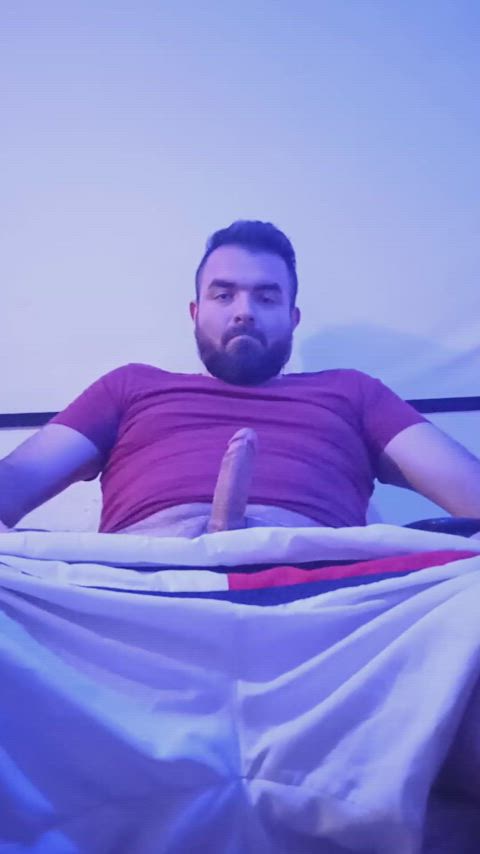 amateur bear beard big dick cock gay hairy cock homemade nsfw solo gif