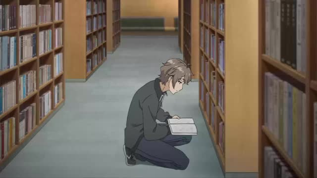 [Bunny Girl Senpai] Edit