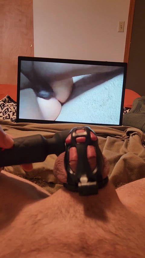 Using a vibrator on my caged clitty like a good whiteboi