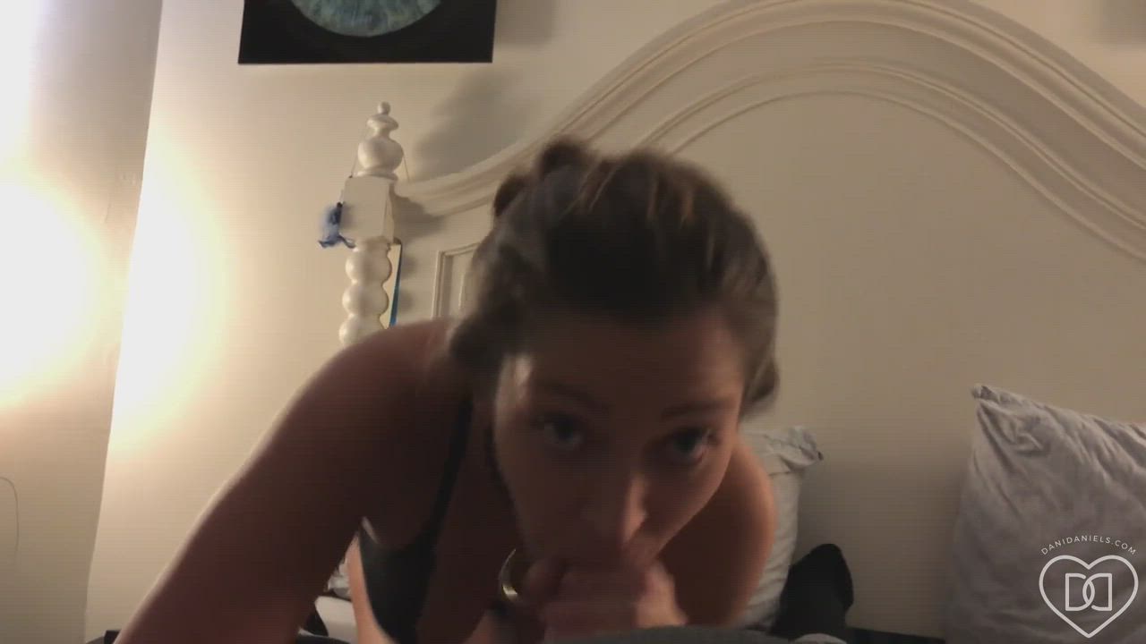 Blowjob Brunette Dani Daniels Lingerie POV Pornstar gif