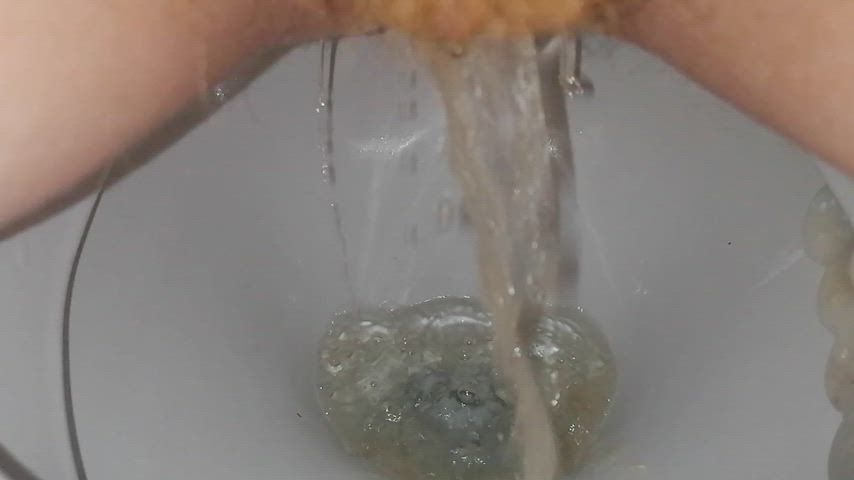 ftm hairy piss pubic hair toilet trans gif