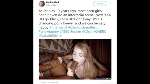 The Power of Interracial Porn ?