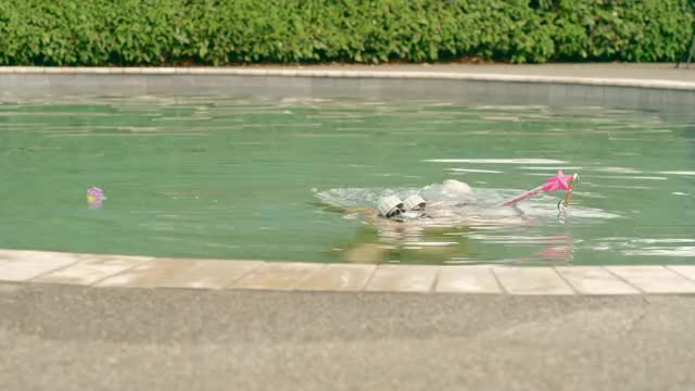 Pool Cleaner