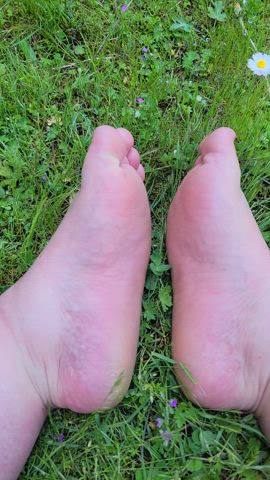 bbw fansly feet feet fetish foot fetish manyvids onlyfans ssbbw gif
