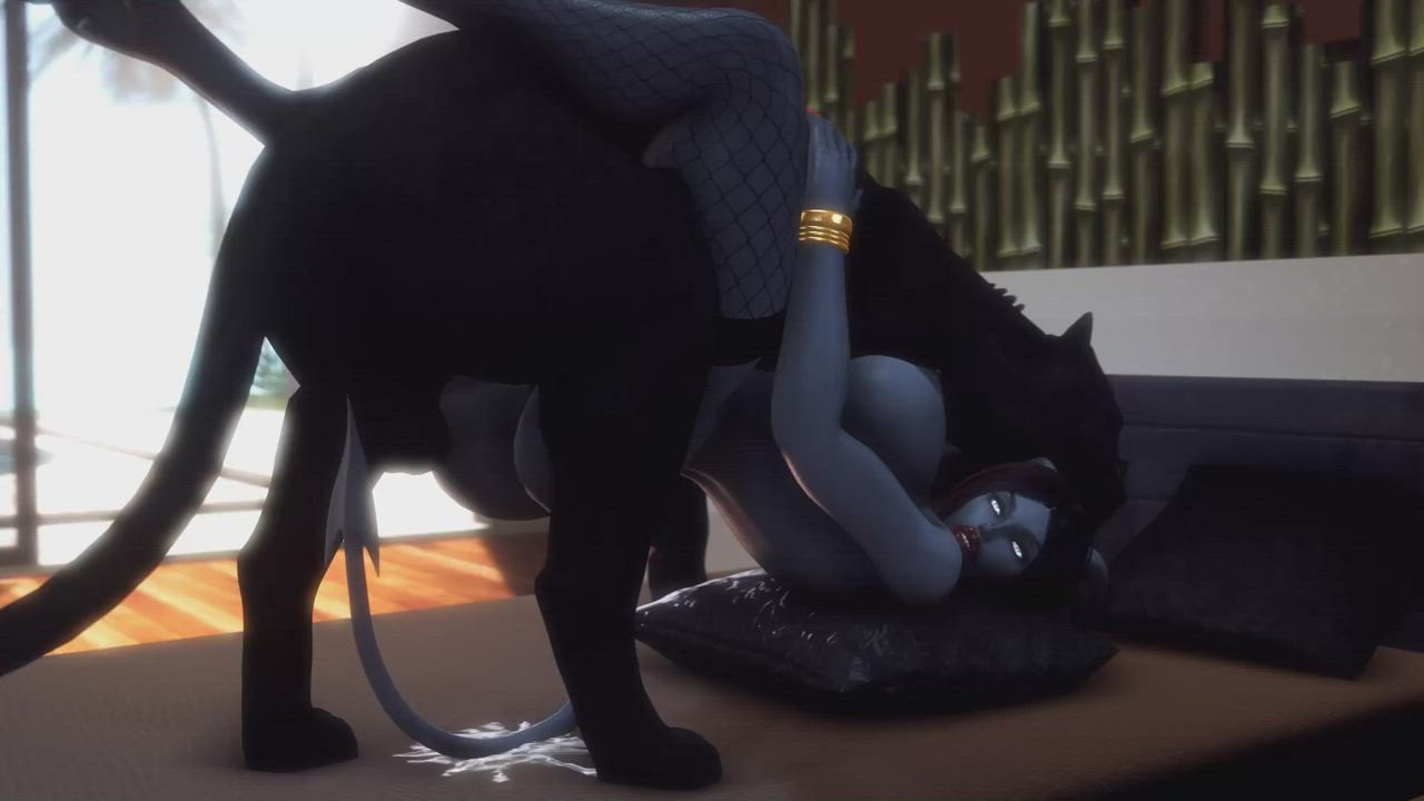 Black cat and blue elf