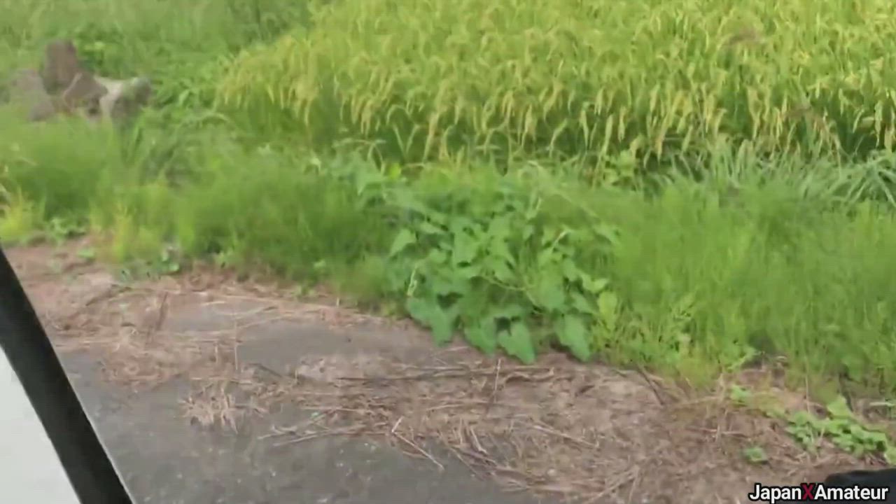 Amateur Japanese Girl Sucking Dick On The Side Of A Road