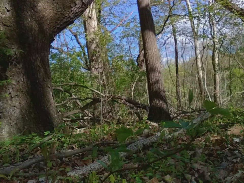 casual leak during a walk