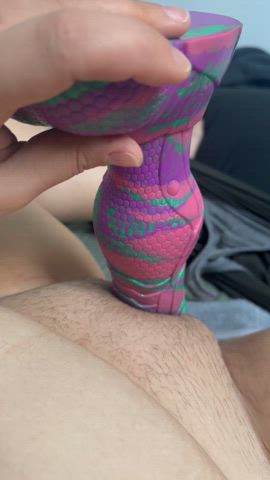 amateur bad dragon dildo masturbating pussy solo gif