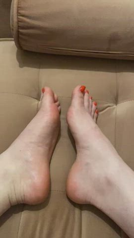 feet feet fetish foot foot fetish foot worship soles toes gif