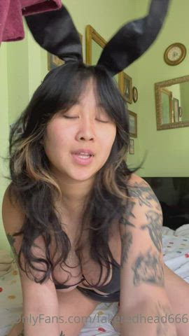 asian big tits bunny gif