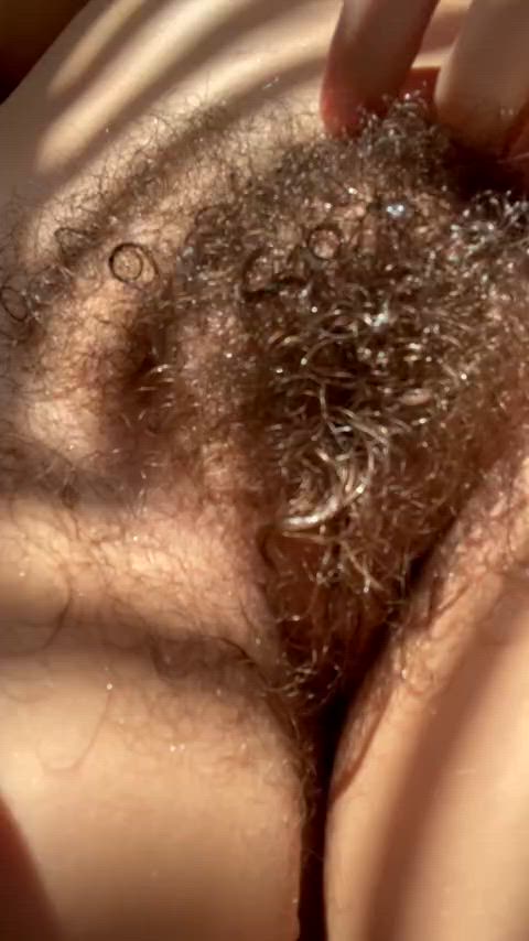 amateur hairy pussy homemade pussy gif