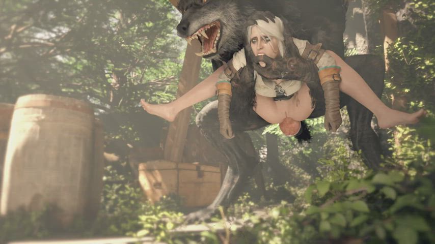 longer version of Ciri vs Emile