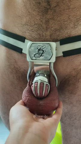 Honey, chastity cages don’t do it for me anymore. I have to lock you up in a chastity