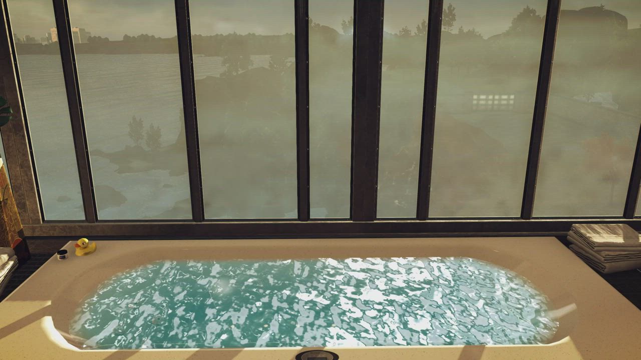 I used a freecam in Hitman Absolution to see Diana Burnwood showering