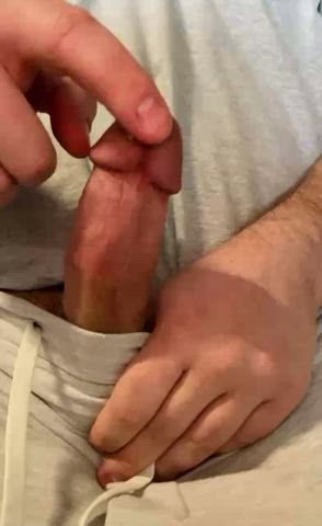 Cum Precum Solo gif