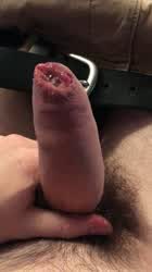 I love how the foreskin spreads my precum