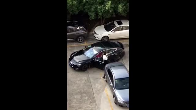 Women Drivers Erupt Into Furious Fight In Parking Lot