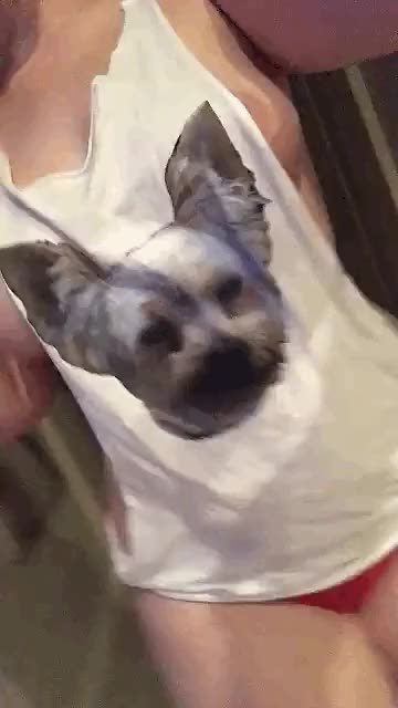 Removing her puppy dog t-shirt in order to reveal her 'sweet puppies' [gif]