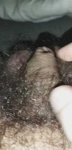 foreskin hairy penis softcore gif