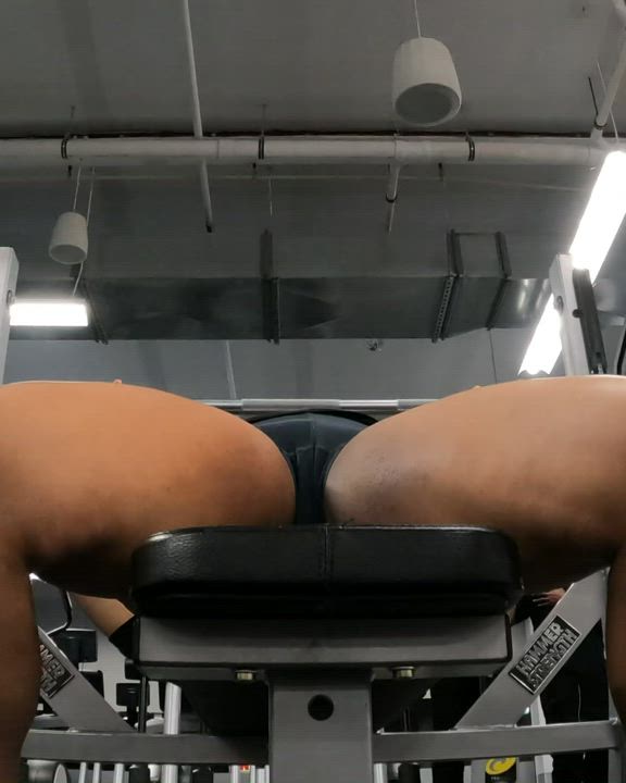 Camel Toe Ebony Gym Shorts gif