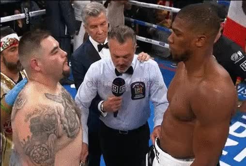 ANDY RUIZ 002 XDEIOS