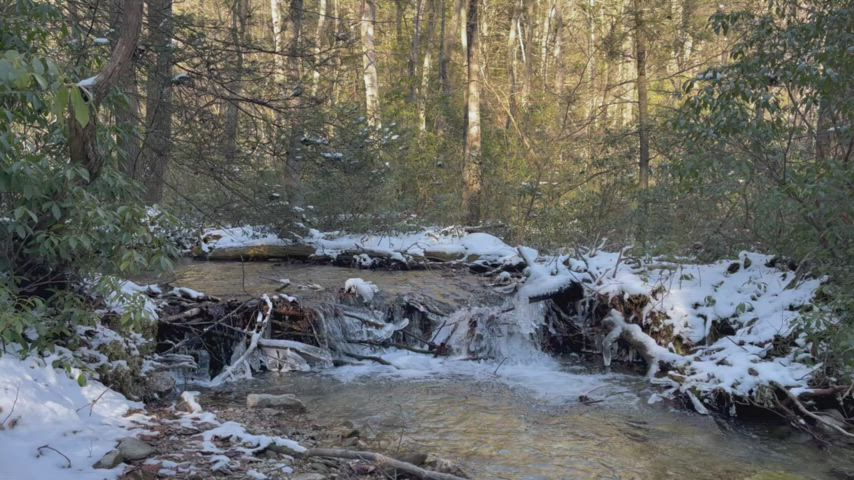 Mountain Creek &amp; Wintery Waterfall III
