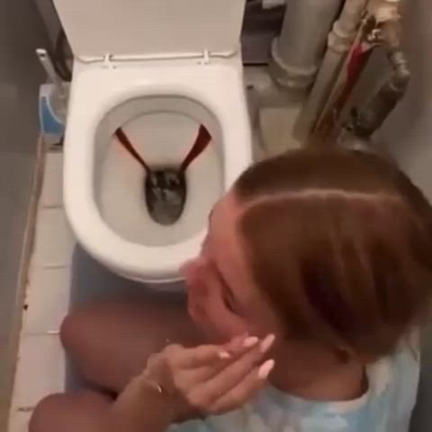 degrading golden shower humiliation piss slut toilet gif