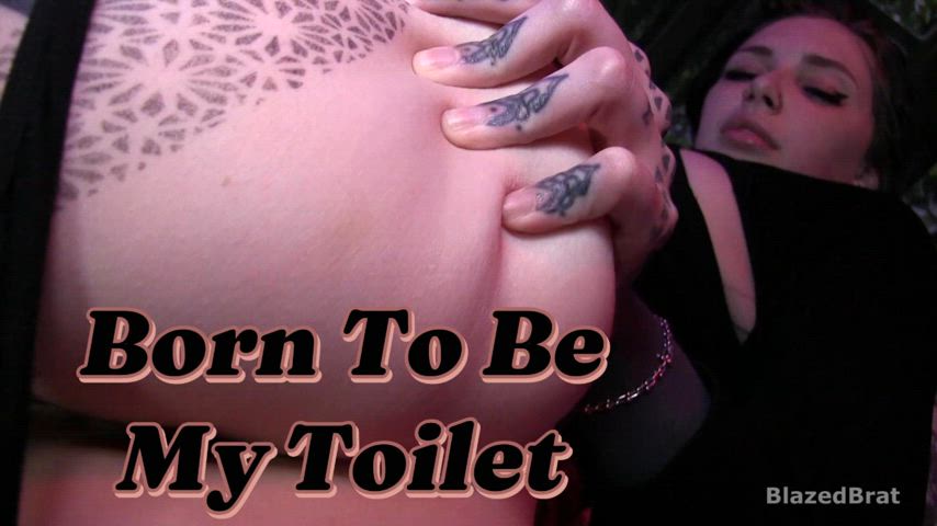 ass ass spread asshole mistressmercyrage toilet ass-worship gif