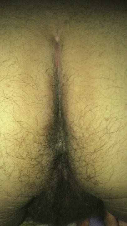 Ass Hairy Ass Pussy gif