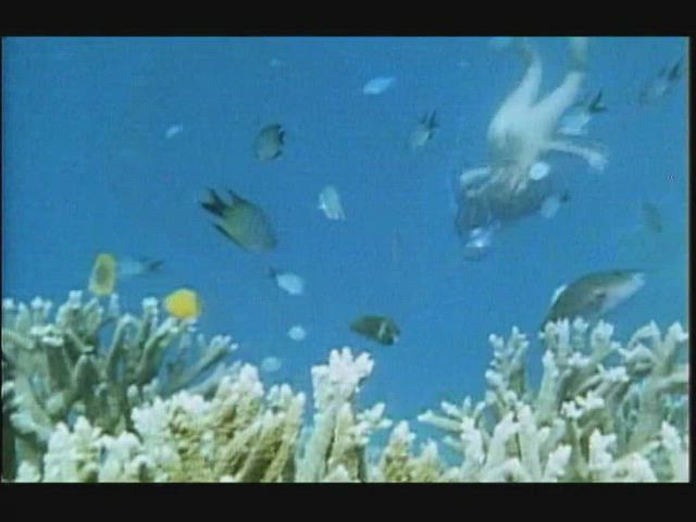 Gina Allen - Australia After Dark (AU1975) (4/4) - Underwater part 2
