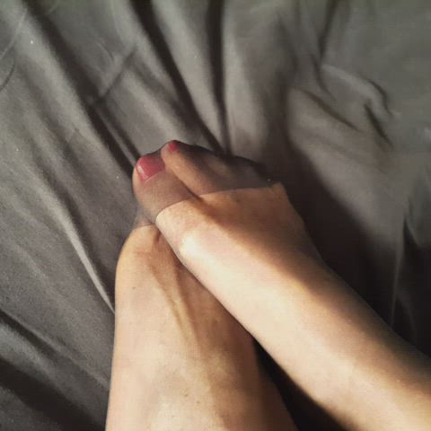 feet feet fetish nylons toes gif